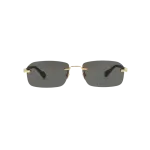 GG 1221S