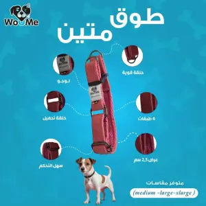 طوق للكلب 2.5 سم