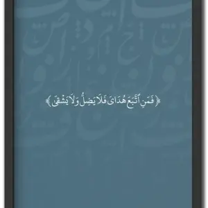 فمن اتبع هداي