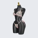 Plus Size Lace Sheer Bra Panty Set