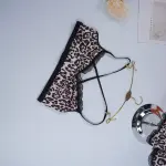 Sexy Wild Leopard Print Bra Panty Set