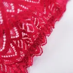 Plus Size Sexy Sheer Lace Mesh Bra Panty Set