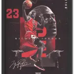 Michael Jordan - Bulls