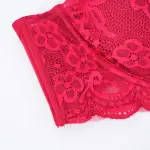 Plus Size Lace Embroidered Floral Bra