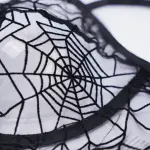Plus Size Spider Web Sheer Push Up Full Bust Bra Panty Set