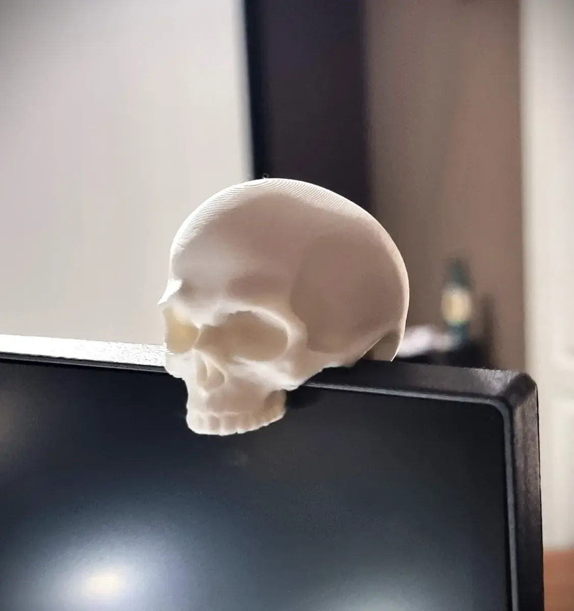 Monitor Buddy Skull