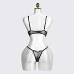 Veilvine Floral Embroidery Lace Lingerie Set