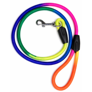 Leash colored rainbow sized big for dogs
