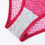 Plus Size Sexy Sheer Lace Mesh Bra Panty Set