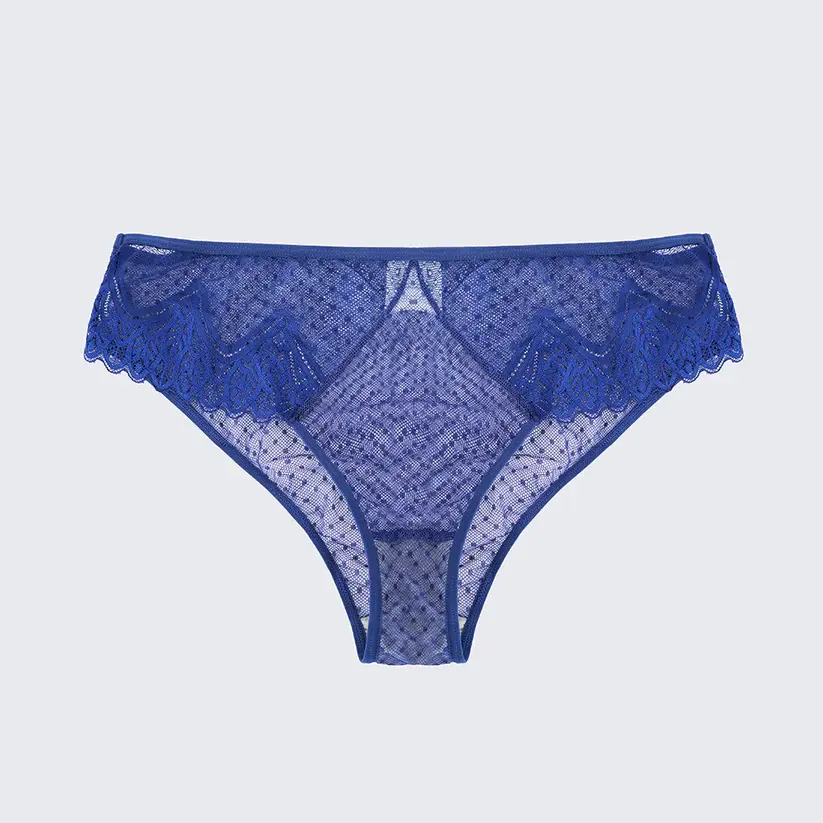 Plus Size Sexy Sheer Lace Mesh Bra Panty Set