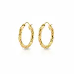 Twisted Hoop Stainless Steel Earrings EA-201