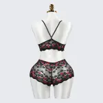 Black Lace Embroidery Sexy Bra Panty Set