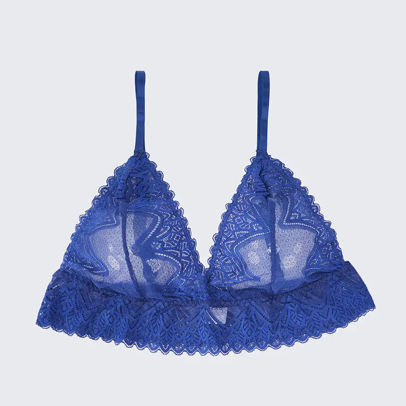 Plus Size Sexy Sheer Lace Mesh Bra Panty Set