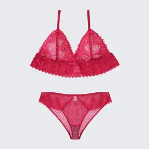 Plus Size Sexy Sheer Lace Mesh Bra Panty Set