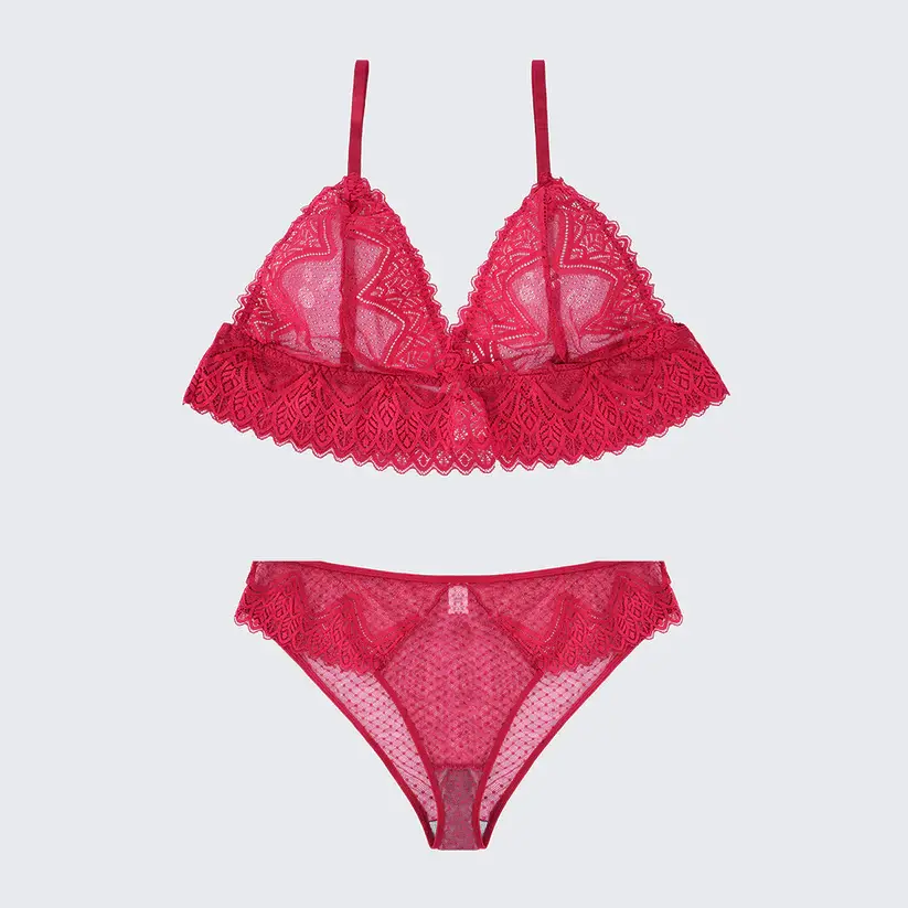 Plus Size Sexy Sheer Lace Mesh Bra Panty Set