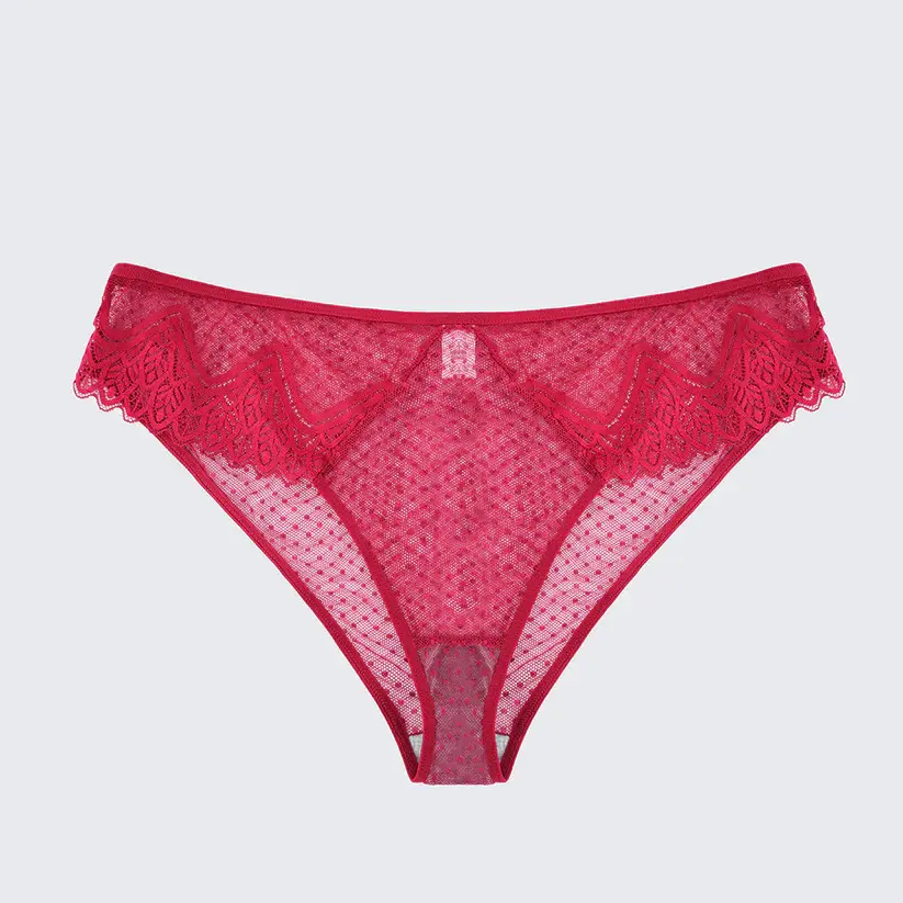 Plus Size Sexy Sheer Lace Mesh Bra Panty Set
