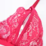 Plus Size Red Lace Bra Panty Set