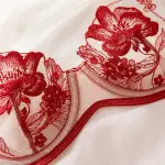 Dark Red Muse Lingerie Set