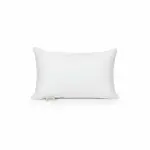 Agha Home Cotton Pillow