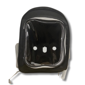 Transparent Square Backpack