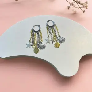 Shiny earrings