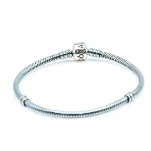 Pandora bracelet