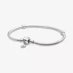 Pandora bracelet