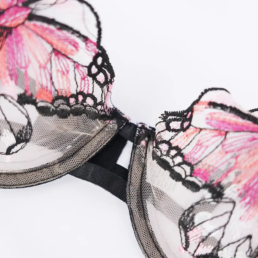 Butterfly Sheer Embroidered Mesh Bra Panty Set