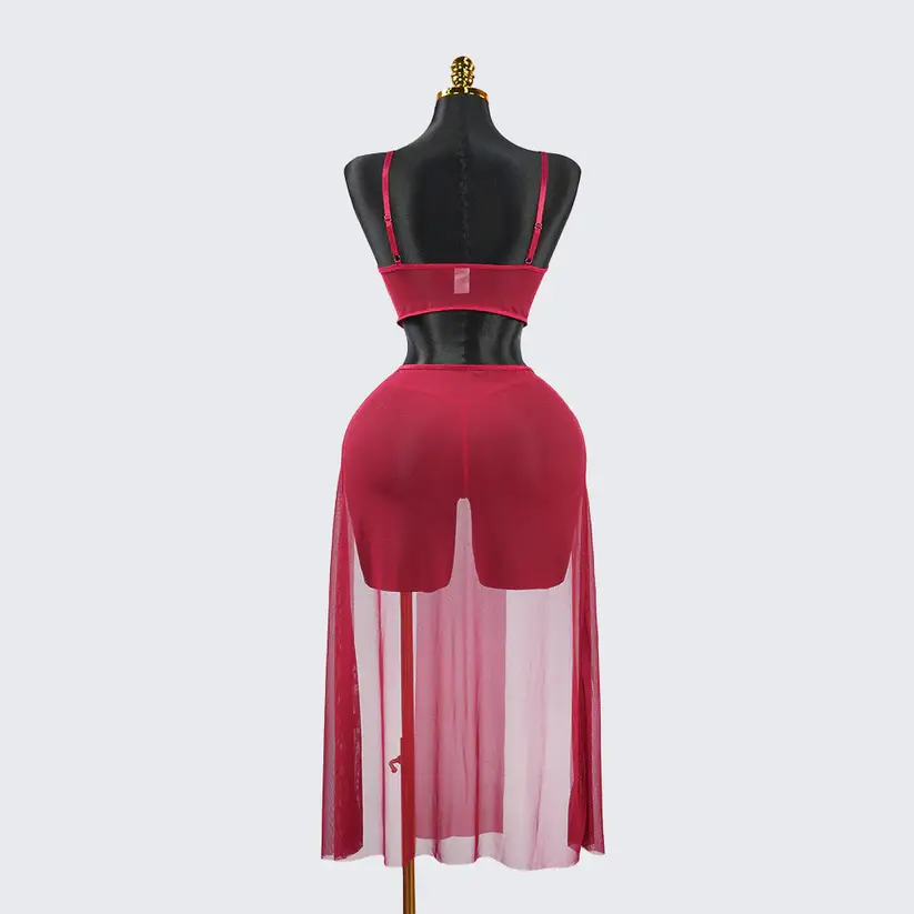 Red Sheer Mesh Lingerie Bra Panty Dress Set