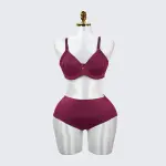 Plus Size Seamless Smooth Breathable Comfort Bra Panty Set