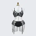 Plus Size Spider Web Sheer Push Up Full Bust Bra Panty Set