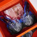 Geometric Lace Embroidery Lingerie Set