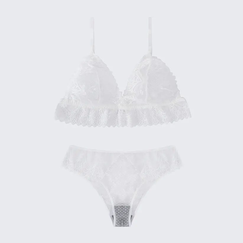 Plus Size Sexy Sheer Lace Mesh Bra Panty Set