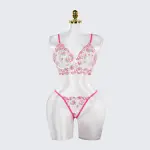 Rose Red Sheer Floral Print Bra and Panty Set