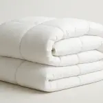 Cozy Minimalist Microfiber Duvet