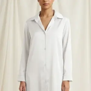 Classic Shirt Dress