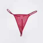 Red Sheer Mesh Lingerie Bra Panty Dress Set