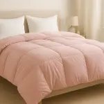 Cozy Minimalist Microfiber Duvet