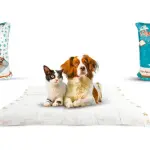 بيتس مات 30 قطعة