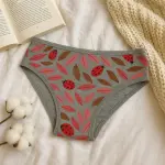 Girls’ Grey Cotton Hipster Underwear(Pack of 1)
