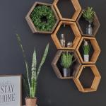 Hexagon shelves
