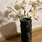 The fuzzy vase