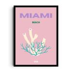 MIAMI DREAMS