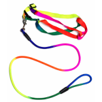 small Multi-Color Harness with Leash for Dogs