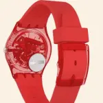 SWATCH GR178