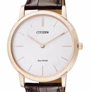 CITIZEN - ar1113-12a