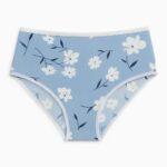 Women’s High-Waist Cotton Briefs(Pack of 1)