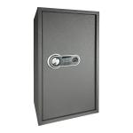 LG Safe - 70 FPC Gray