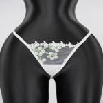 Sexy White Lace Embroidered Lingerie Sheer Bra Panties Set