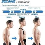 MD STAY FIT Adjustable Back Brace Posture Corrector Shoulder Lumbar Spine Posture Corrector Belt for Men Women Adjustable Corset